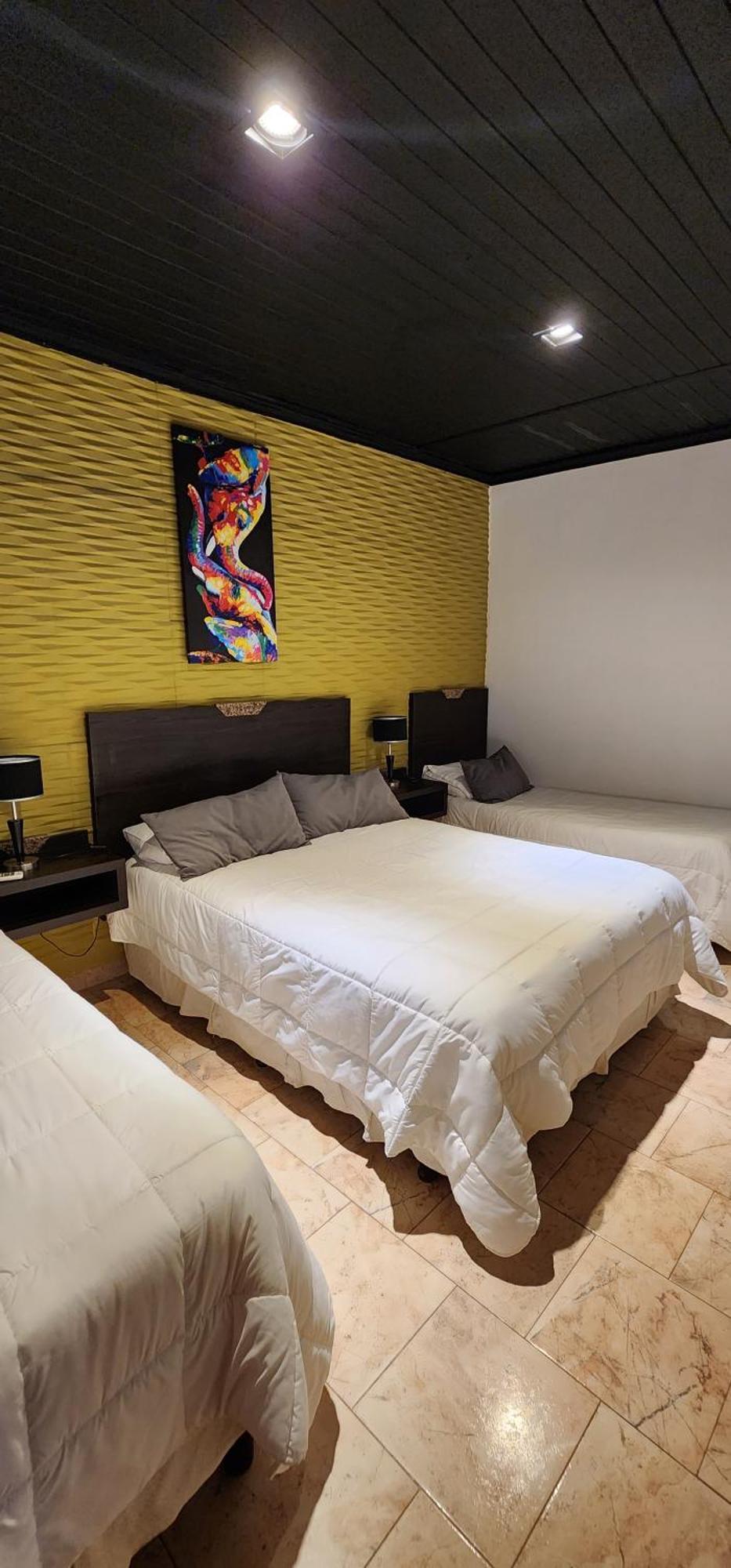 Nomades Apartamentos 帕索德洛斯利布雷斯 客房 照片